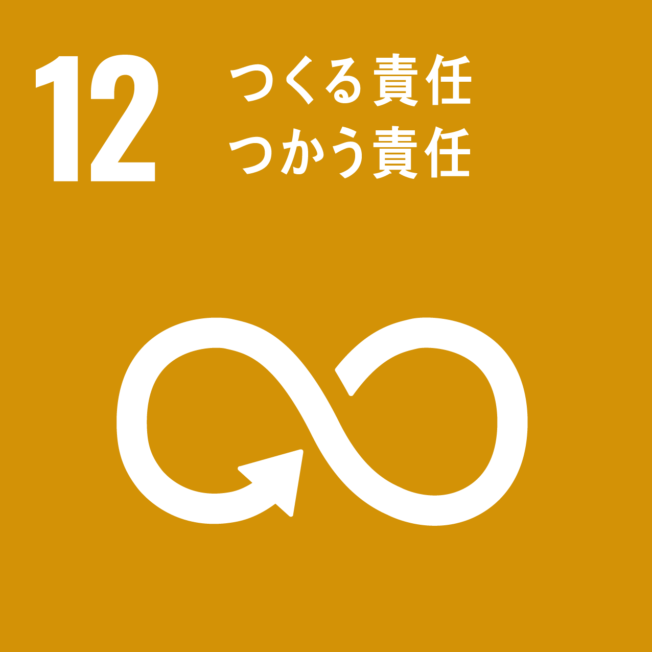 （１２）つくる責任　つかう責任